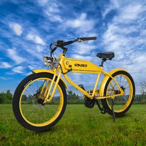 Factory Fat Tire Electric Bicycle 48v Retro Electric Beach Cruiser 750w E Mountain Bike Retro Electric City Bike