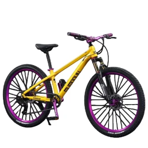 Factory HKCW Professional Mountain Bike Youth Adult Men’s Hardtail Hydraulic Disc Brake 21 Speed Lightweight 26″ Wheel