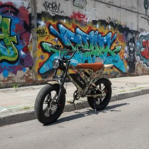 Factory Lithium Electric Dirt Bike 72V 15Ah 20 Inch Fat Tire Touring Motorcycle >80km/h Efficient City Moped