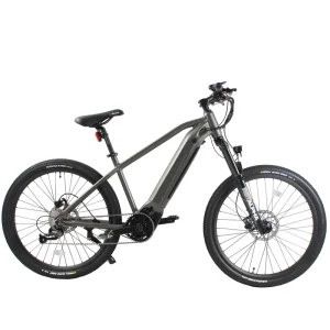 Factory Mid Brushless Motor Drive Mountain Electric Bike