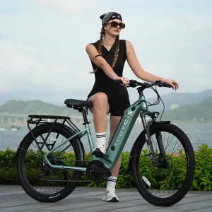 Factory New Design Adult E bike 36V250W 15Ah Battery 27.5inch Tire Central Motor Electric Mountain Road Hybrid Bike City Bicycle