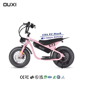 Factory New Design Electric Bike Mini Fat Bike S73 with Rear Hub Motor Integrated Battery 250W Pedal Assist for Teens
