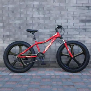 Factory New Model Sports 21 Speed Bicicleta De Rim 24″ 26″ 29″ Adult Fat Tire Snow Bicycle Mountain Bike