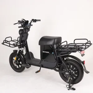 Factory OEM 1000W 16 Inches Cargo Electric Bicycles With Lithium Battery 60V 50 60 65 70Ah