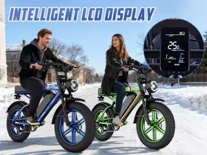 Factory OEM 48V Removable Battery Fat Tire Electric Bike for Country Road Commute Fat Ebike