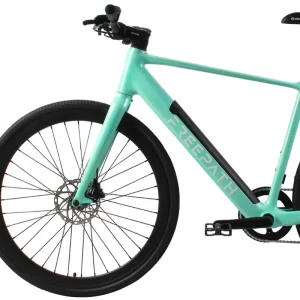 Factory OEM ODM 26-inch E-Bike Electric Bicycle Fat Tires Hybrid City Road Mountain 750W 1000W Electric Off-Road Vehicle
