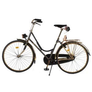 Factory Oem Good Looking Holland Luxury Lady City Bike Prices 24 Inch Single Speed Steel City Bicycle