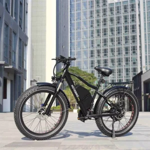 Factory Price 1000w 2000w 3000w 5000w Electric Bicycle Long Range Electric Bike Ebike Motorcycle