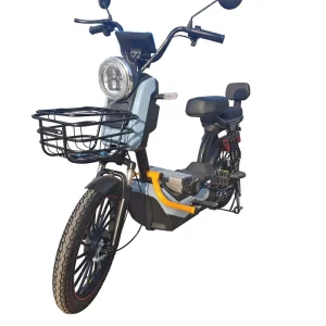 Factory Price Adult Electric Bicycle for Delivery with Rear Hub Motor Electronic Digital Smart Features 150kg Max Load
