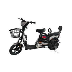 Factory Price Electric Bikes Ebike Bicycles Adult Electric Bicycle Electric Bicycle for Delivery