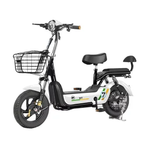 Factory Price Electric Bikes Ebike Bicycles Adult Electric Bicycle Electric Bicycle for Delivery on Sale