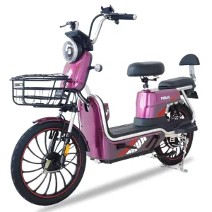 Factory Price Electric Bikes Ebike Bicycles Adult Electric Bicycle for Delivery