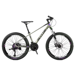 Factory Price Mountain 29 Mens Bike Men Mountain Bicycle with Best Quality