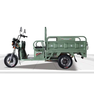 Factory Professional Manufacturer Powerful Electric Tricycles 3 Wheel Electric Cargo Bike