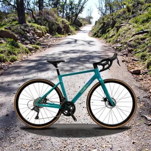 Factory Road Bikes Aluminum Alloy Fork Latest Design High Quality Low Cost Adult Racing Bicycle