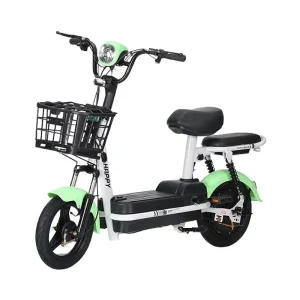 Factory Sale 48V City Electric Bicycle for Commuting 14 Inch Durable E-bike 2 Wheels 2 People with Basket