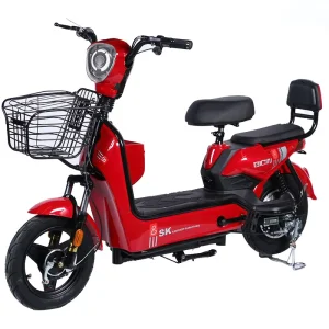 Factory Sale Customized Electric Bicycle Two Wheeled Electric Bike