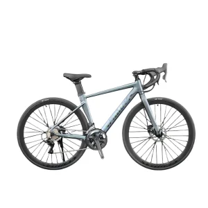 Factory Sale High Quality New Design Aluminum 700C Disc Road Bike for Popular Racing Style