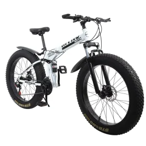 Factory Supply Double Disc Brake Double Shock Absorber 4.0 Wide Tire Steel Frame Snow Beach Mountain Bike Outdoor Cycling Men’s