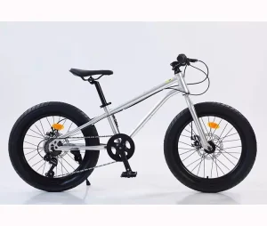 Factory Supply Fat Tire Mountain Bike 26×4.0 Inch Disc Brake Steel Frame 27 Speed Outdoor Road Bike for Adults