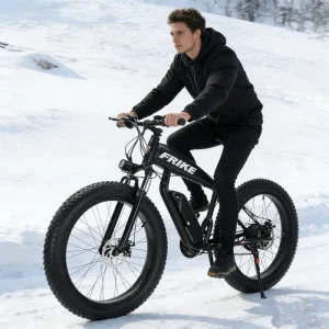 Factorywholesale 21speed electric bikes for adults aluminum alloy fat tire bike electric mountain bicicleta electric e dirt bike