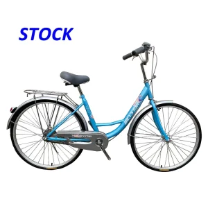 Family Cargo City Bike CTS006L Steel Single Speed 26” Inch Lady’s Classic Women’s Bicycle