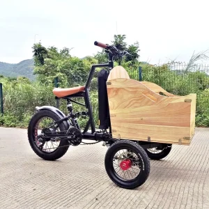 Family E Cargo Bike 3 Wheel Cargo Bike Dutch Electric Cargo E Bike Adult Electric Ebike E Cargo Family E Bicycle