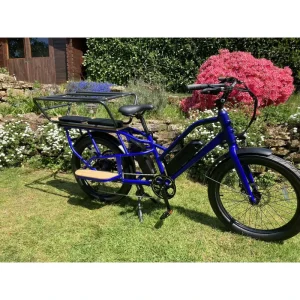 Family Electric Cargo Bike 24 Inch 48V 500W Ebike Electric Cargo Bicycle