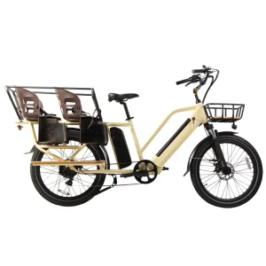 Family Outgoing Cargo Bike With 2 Wheels Rear Motor Pedals Driving Electric Cargo Bicycle with Basket