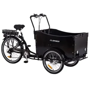 Family Three Wheels Electric Cargo Bike Bicycle Electric Tricycle