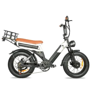 Fashion Adult Electric Bike Bicycles