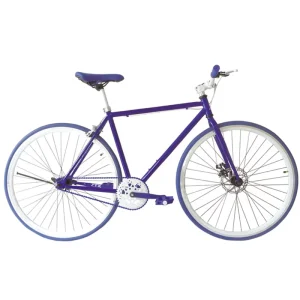 Fashionable Fixed Gear Single Speed Road Cycling Bicycle Track Bike for Girls and Boys Green&Bule Color Sport City Road Bicycle