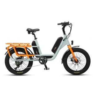 Fast Cargo Heavy Duty Electric Cargo Bike 250kg Max Load Dual Battery 48V 20.8Ah Long Tail E-bike for Delivery and Logistic