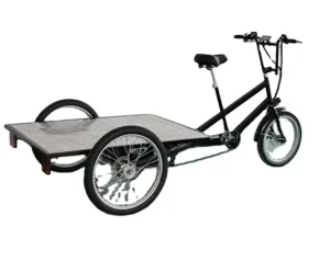 Fast Delivery 3 Wheel Electric Heavy Duty Cargo Bike with Box for Adults 6 Speed Gears