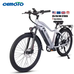 Fast Delivery Fast E Bike Heavy Duty 48V 15.6Ah Electric Bicycle US Stock Powerful 27.5″ Mountain Electric Bike USA Stock