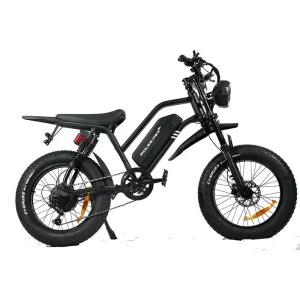 Fast Delivery New Model Electric Bike High Carbon Steel Frame Material 1000W Fast Electric Bicycles for Adults