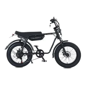 Fast Speed 20 Inch E Bikes Fat Tire E-bike Beach Cruiser Electric Motor Mountain Bike