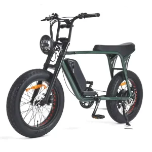 Fast Speed 20 Inch Fat Tire Retro Electric Bicycle