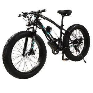 Fast Speed Big Tire 26 x 4.0 E Bike 500W 1000W 48V 10AH Lithium Battery Electric Bike
