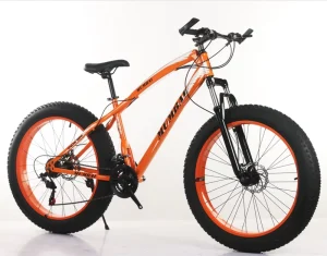 Fat Bicycle Big Tire Mountain Bike Full Suspension Mountain Bike