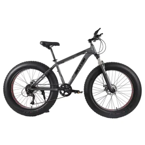 Fat Bike Beach Cruiser 28″ Fashionable 20 Inch Bikes Bicycle