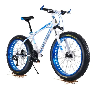 Fat Bike City Bike Frame for Men