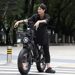 Fat Bike Full Suspension Cross X80 Pro 250W Ebike 20 Inch Retro Mountain E Bike Off Road