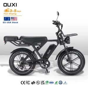 Fat Ebike Fat Tire Bike H9 Electric Fat Tire City Bike 20×4″ E bike 250W Fat Tire Bicycle Vintage Design in EU