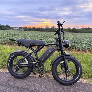 Fat Electr Bike R002 Bicycle Electric Bicycle Fatbike 7 Speed E bike 250W City Bicycle Off Road Ebike Vintage