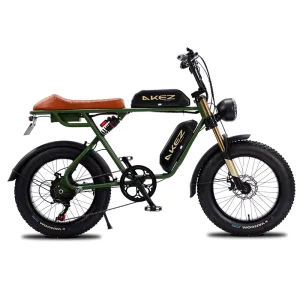 Fat Tire 20×4.0 Inch Ebike New Vintage USA 1000W High Power Beach Cruiser Dual Battery Electric Bike Fast 55km/h 48V 750W
