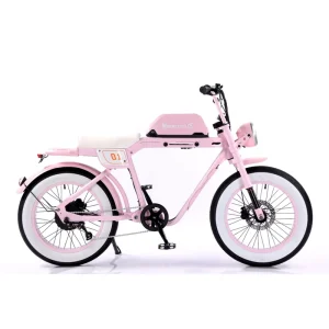 Fat Tire 20×4.0 Inch Ebike Vintage 1000w High Power Fast Speed Beach Cruiser Long Range Electric Bike