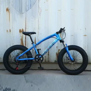Fat Tire Bicycle Oversized Tire Bicycle