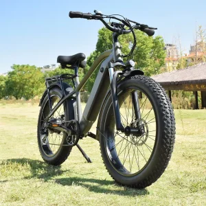 Fat Tire Bike Electric Bike 1000 W Electric Mountain Bike Full Suspension Fat Tire