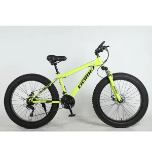 Fat Tire Bike Fatbike OEM Customizable Snow Mountain Cycle Bicycle Beach Cruisers Bikes